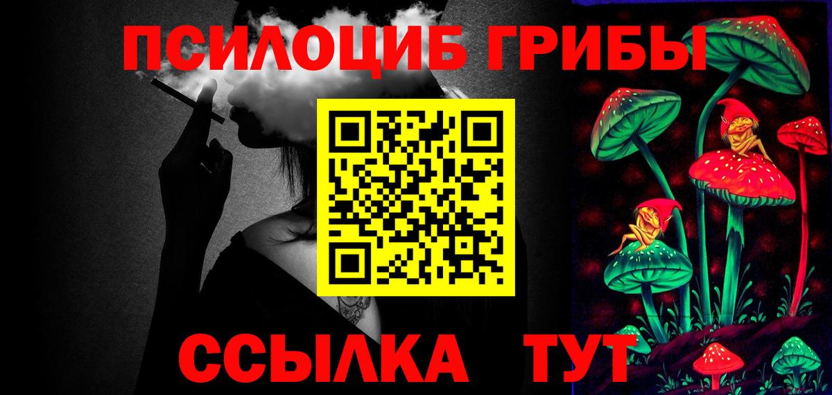 Галлюциногенные грибы Cubensis  Вход с VPN  Луга 